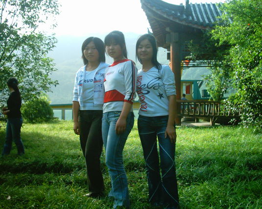 2006  (9)